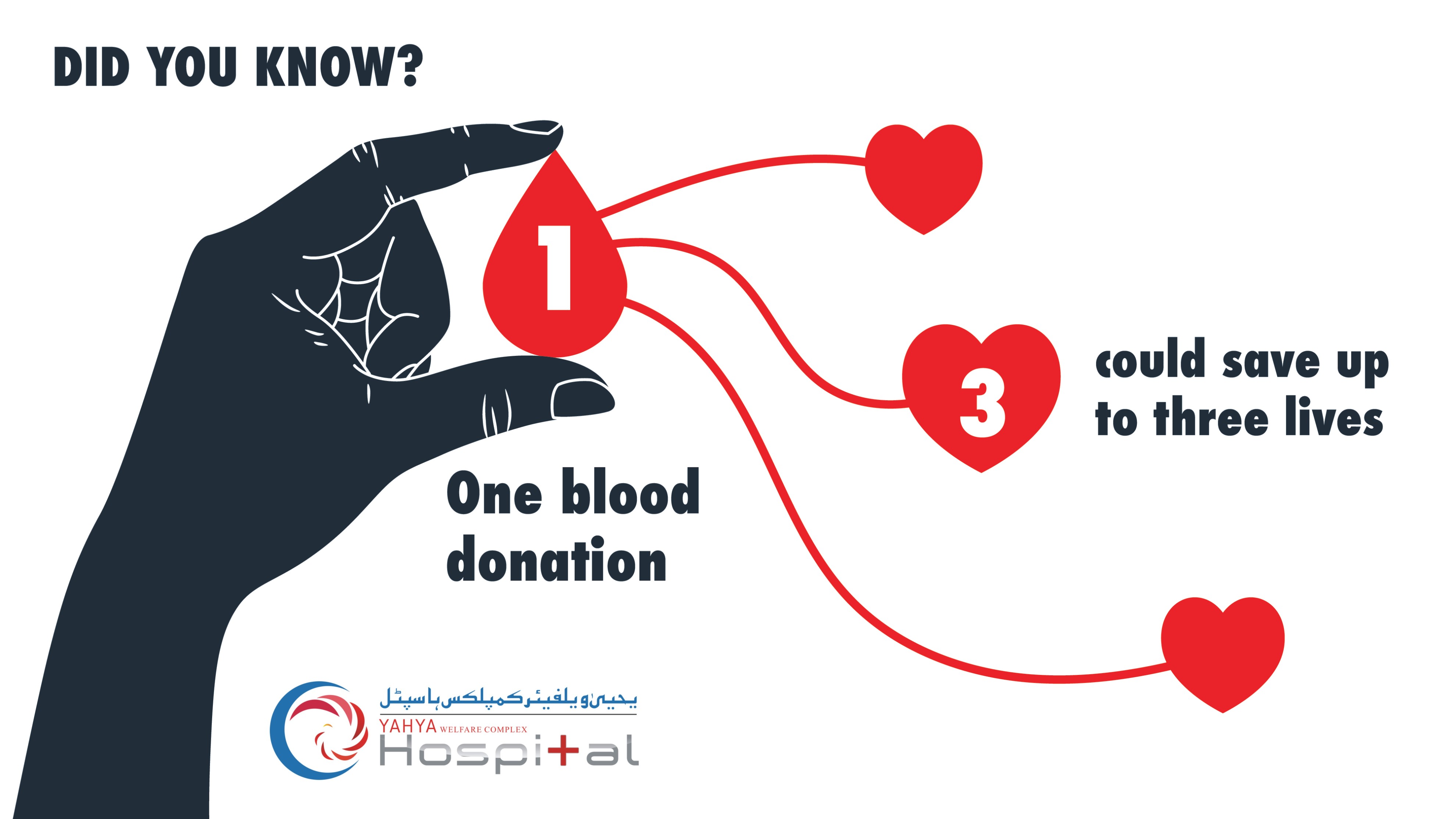 image\Blood-facts_10-illustration-graphics__canteen.png